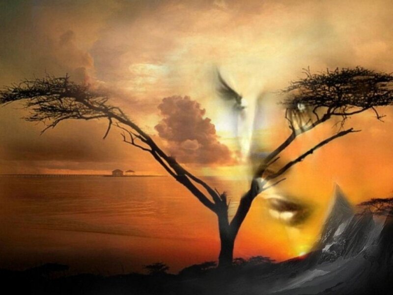 Silhouette of Tree — Orange, Dramatic, Sunset, Digital Art