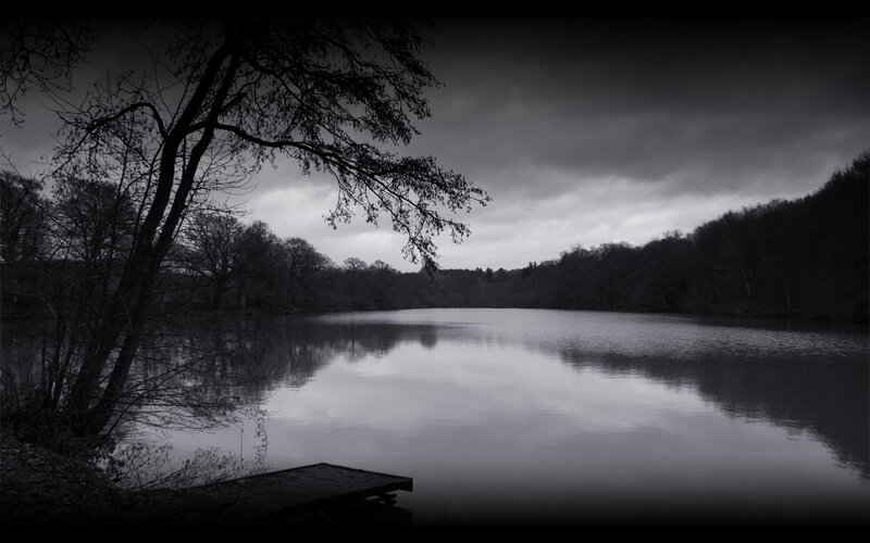 Silhouette of Tree over Lake