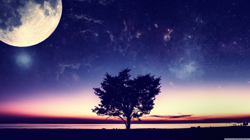 Silhouette of Tree — Purple, Serene, Night, Digital Art, Moon