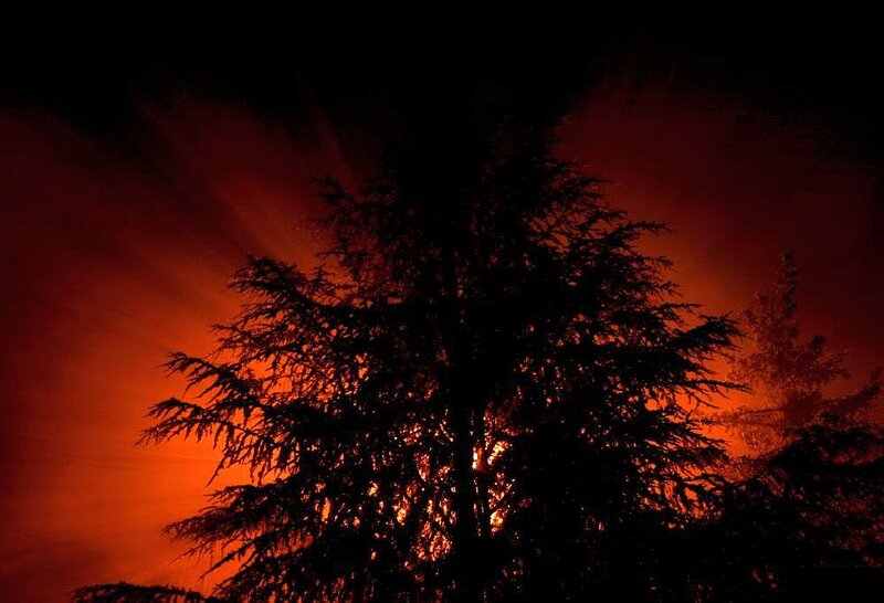 Silhouette of Tree — Red, Dramatic, Night
