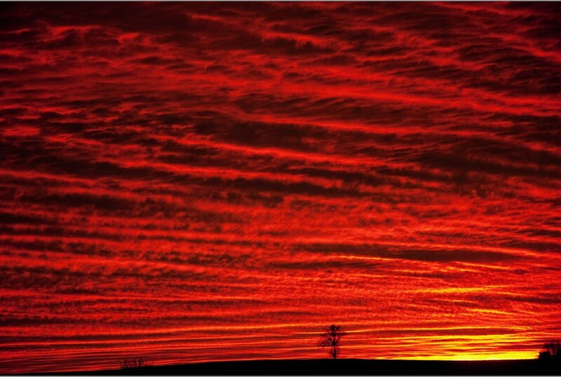 Silhouette of Tree — Red, Dramatic, Sunset