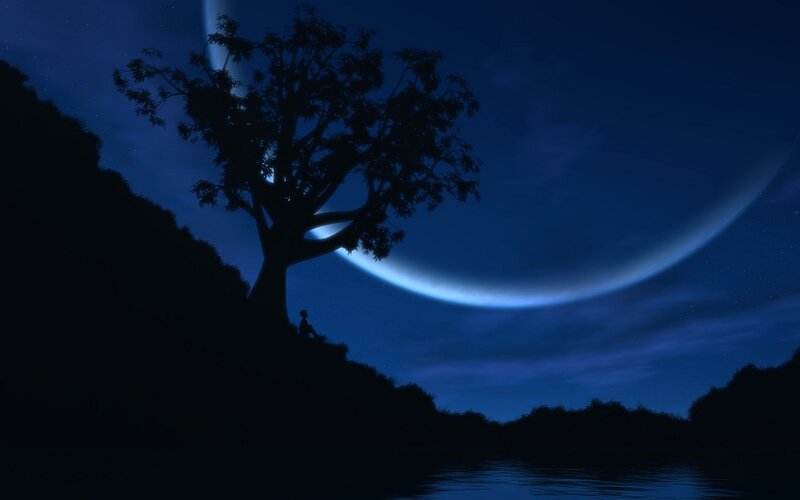 Silhouette of tree under crescent moon