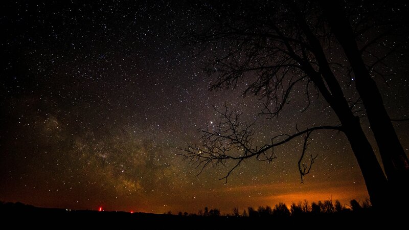 Silhouette of Tree under Stars