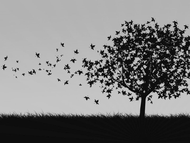 Silhouette of Tree with Falling Leaves