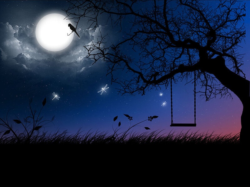 Silhouette of Tree with Swing
