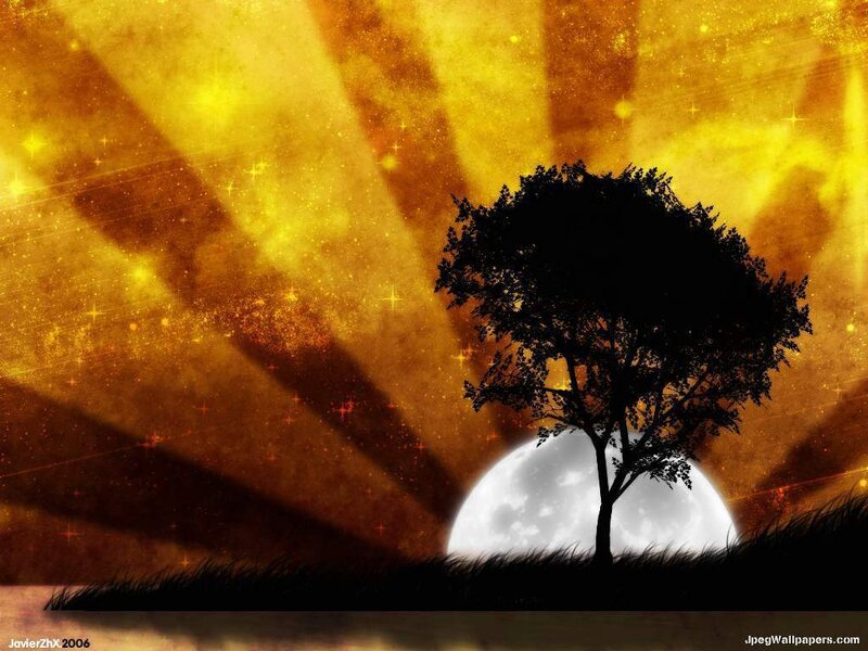Silhouette of Tree — Yellow, Dramatic, Night