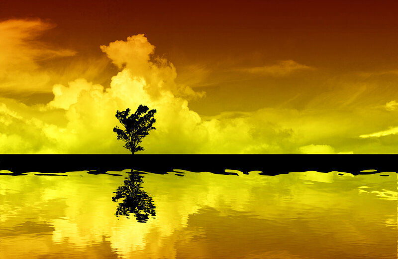 Silhouette of Tree — Yellow