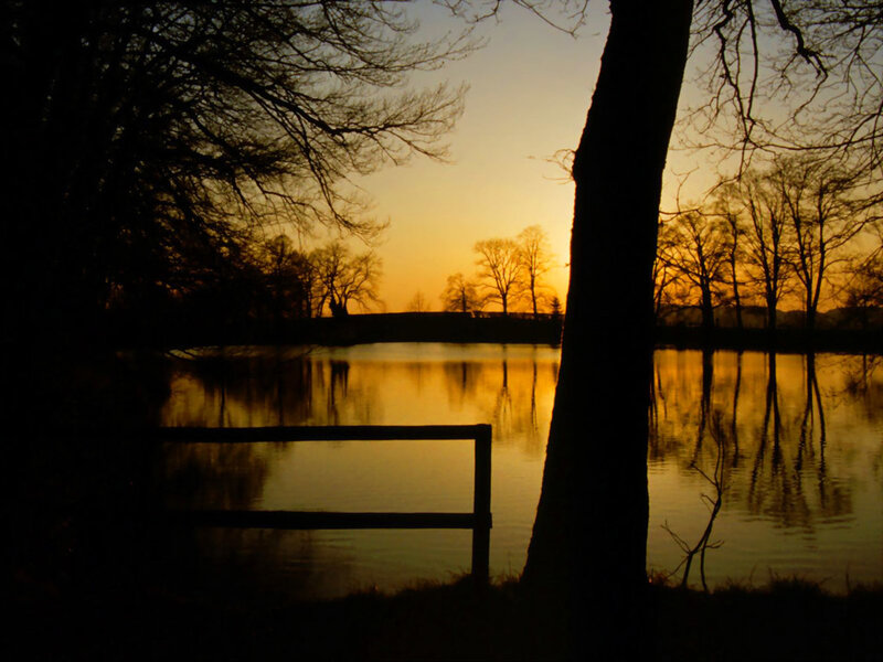 Silhouette of Trees and Bench