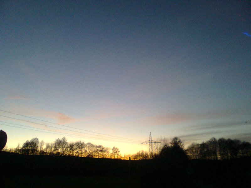 Silhouette of Trees and Power Lines