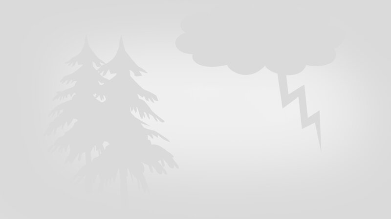Silhouette of Trees and Storm