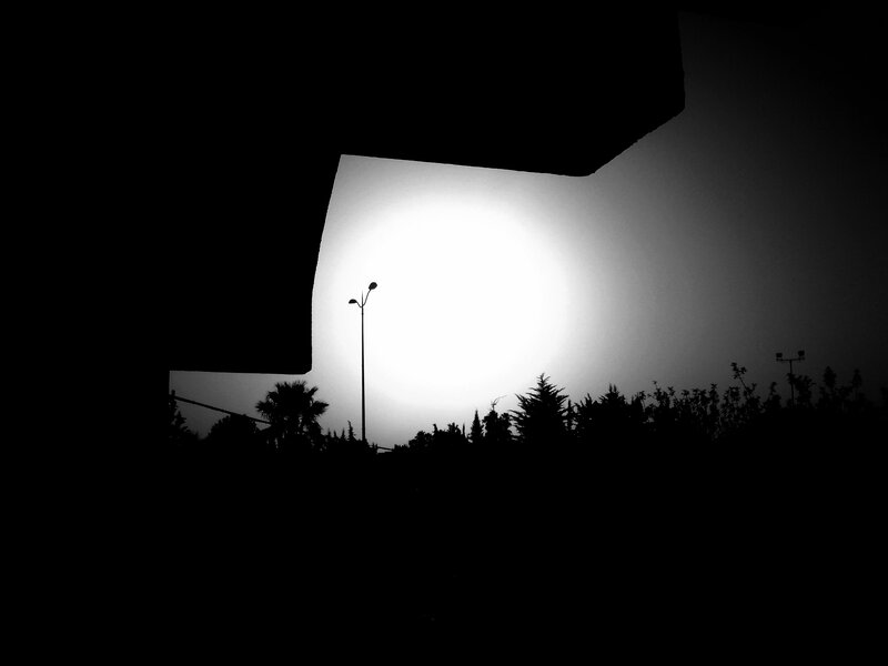 silhouette of trees and streetlight