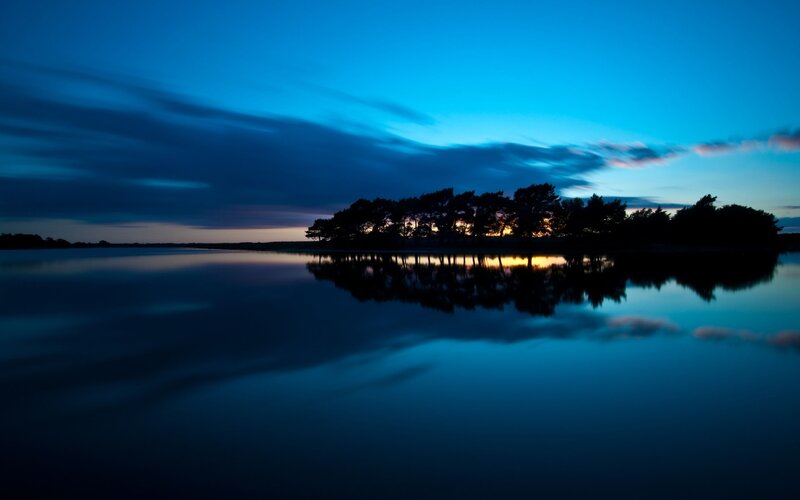 Silhouette of trees at dusk