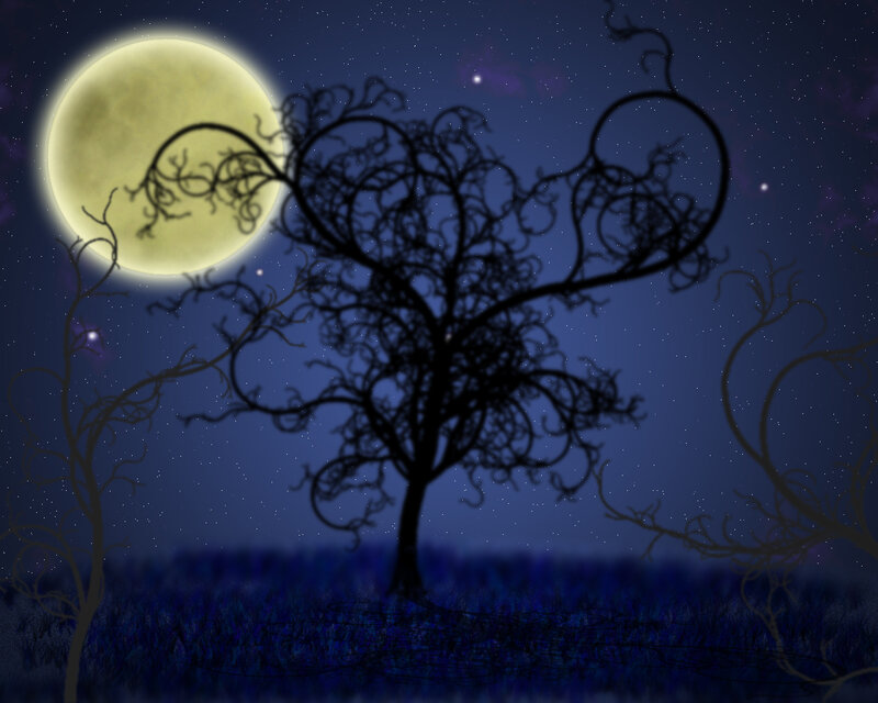 Silhouette of Twisted Tree