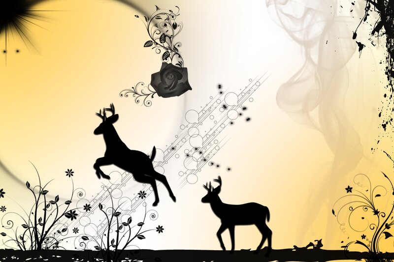 Silhouette of Two Deer