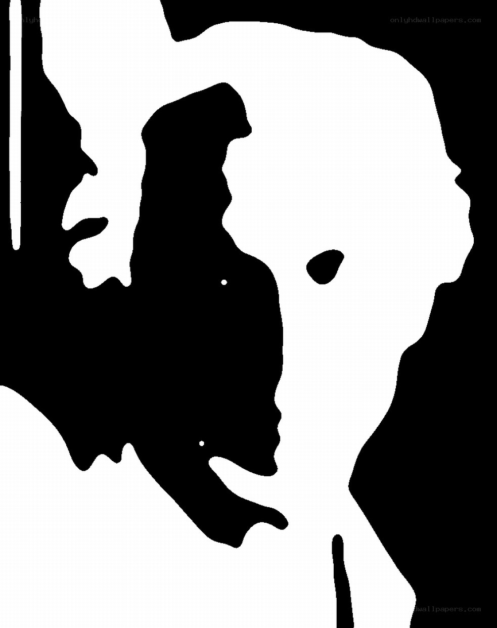 silhouette of two faces