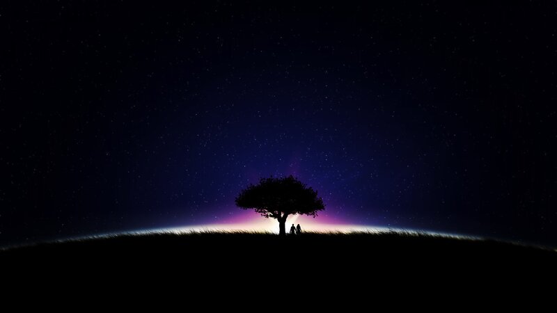 Silhouette of Two People under a Tree