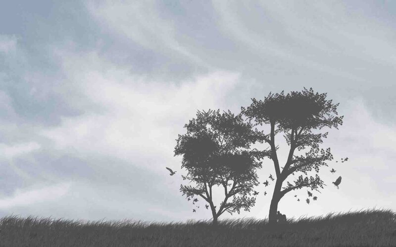 Silhouette of Two Trees