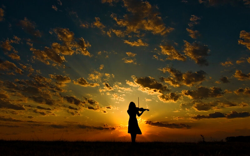 Silhouette of Violinist — Orange