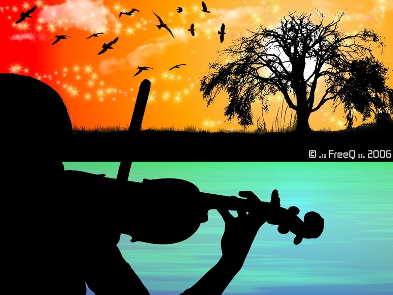 Silhouette of Violinist