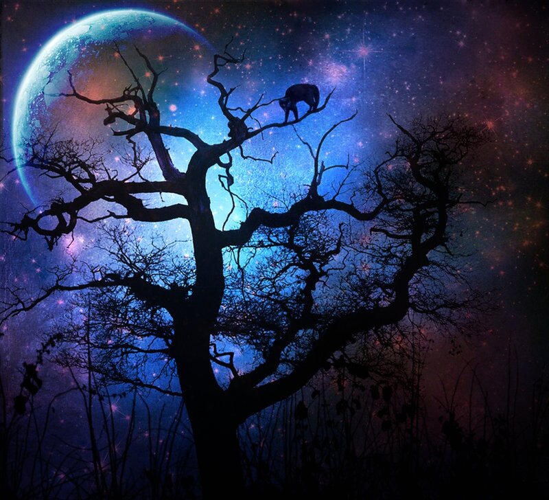 Silhouette of Wolf on Tree — Blue