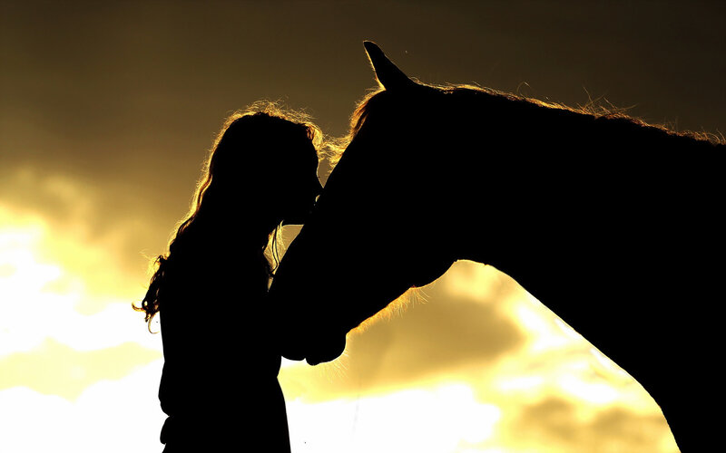 Silhouette of Woman and Horse — Black