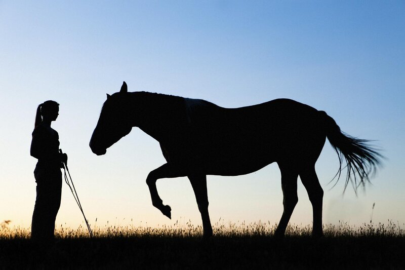Silhouette of Woman and Horse — Blue