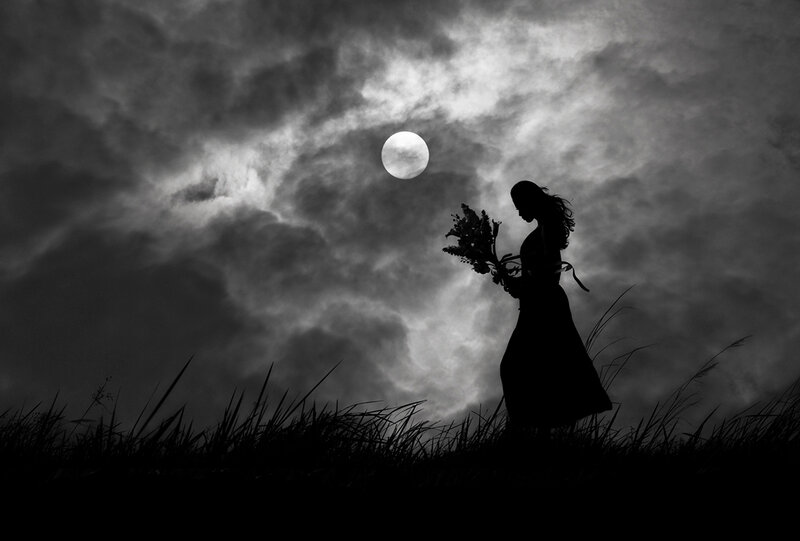Silhouette of Woman Holding Flowers