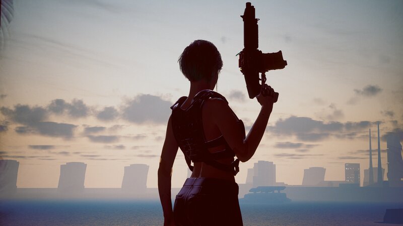 Silhouette of Woman Holding Gun — Gray
