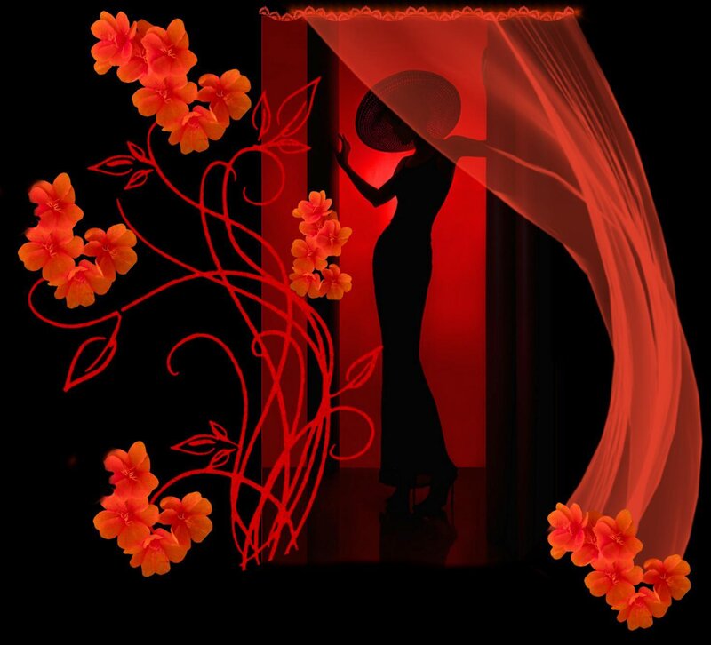 Silhouette of Woman in Dress — Red