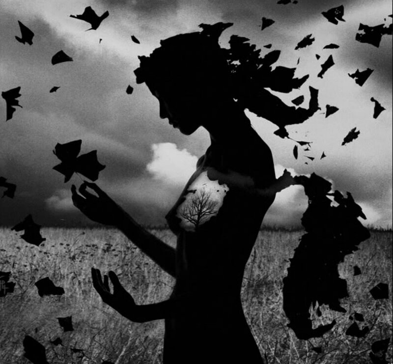 Silhouette of Woman in Field — Black, Dramatic
