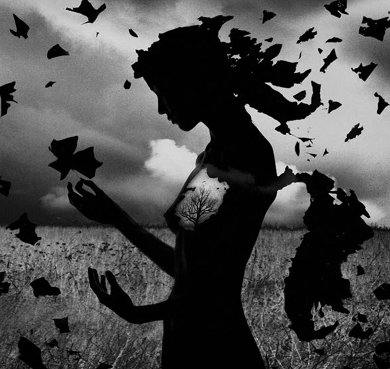 Silhouette of Woman in Field — Black