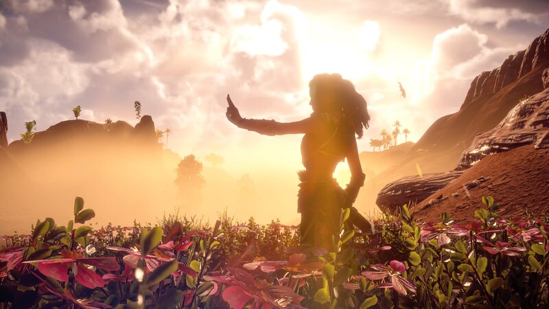Silhouette of Woman in Field — Yellow