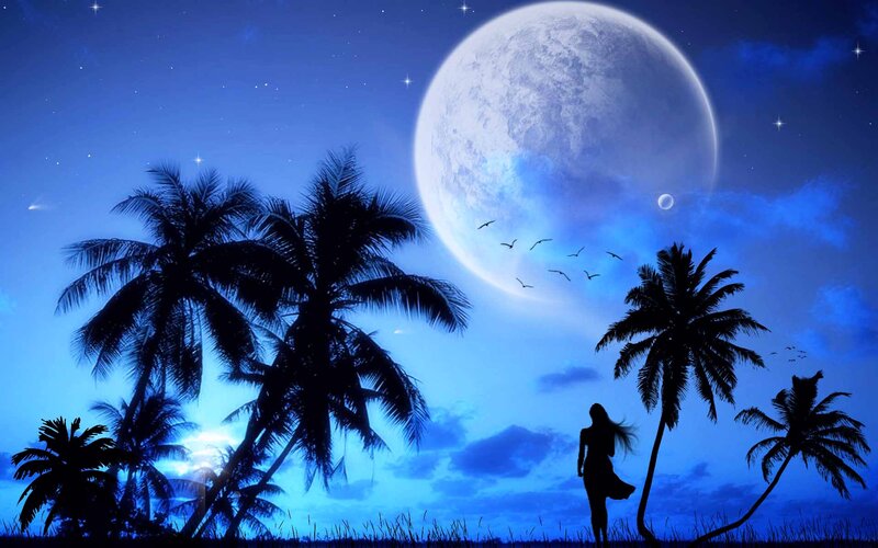 Silhouette of Woman on Beach — Blue, Serene