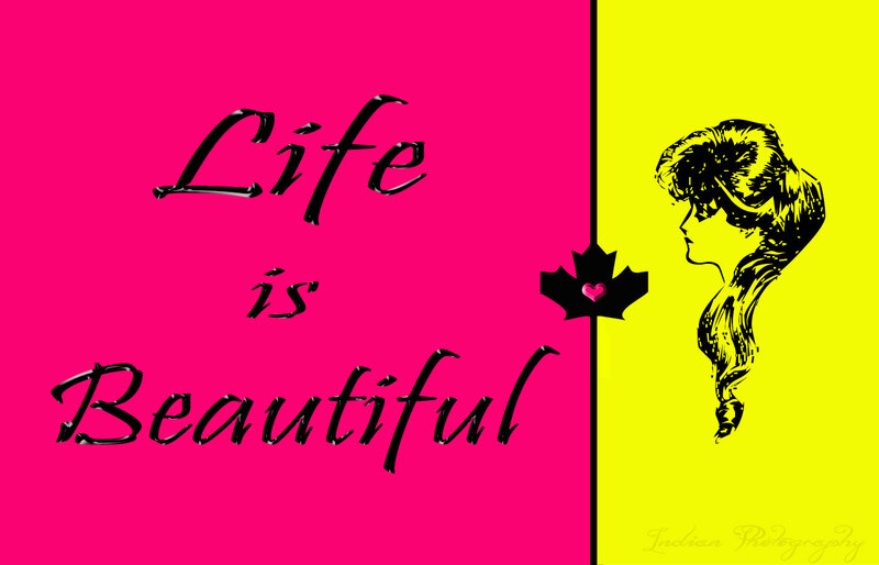 Silhouette of Woman — Pink, Vibrant, Illustration