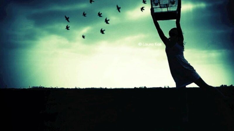 Silhouette of Woman Releasing Birds