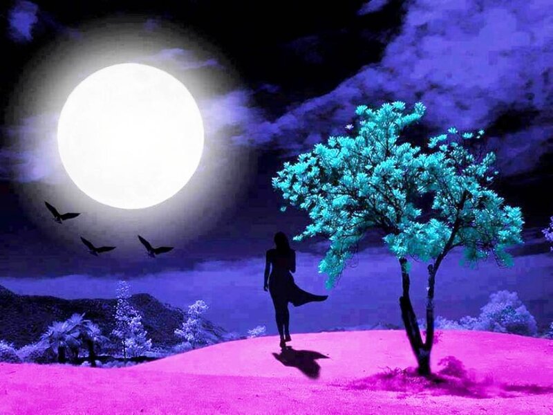 Silhouette of Woman Walking — Purple, Dreamy