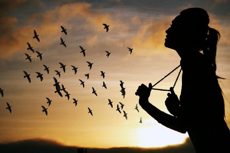Silhouette of Woman with Birds — Orange