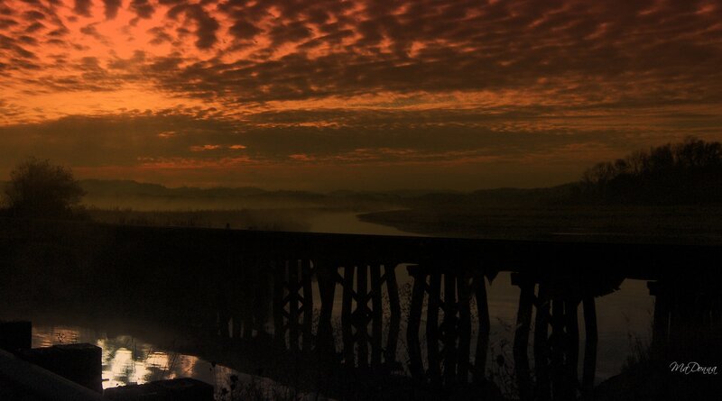 Silhouette of Wooden Bridge