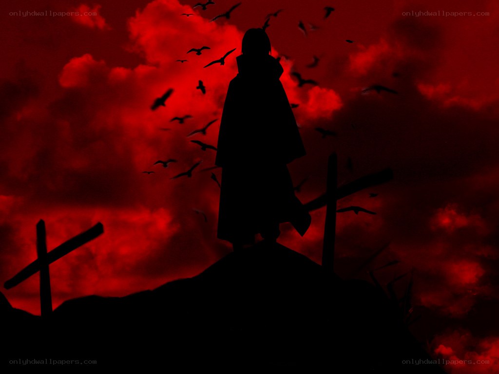 silhouette on a hill at dusk