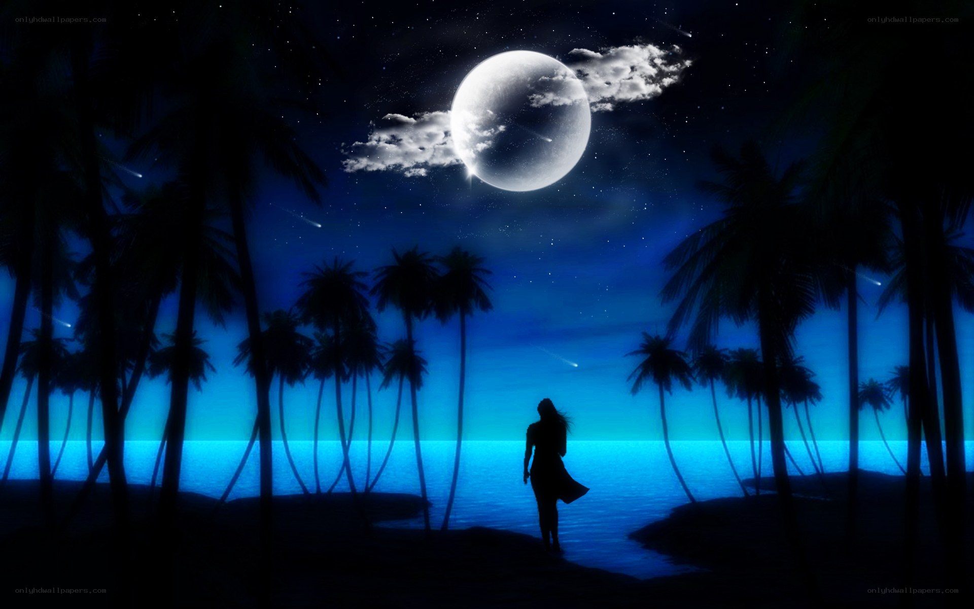 Silhouette on a moonlit beach