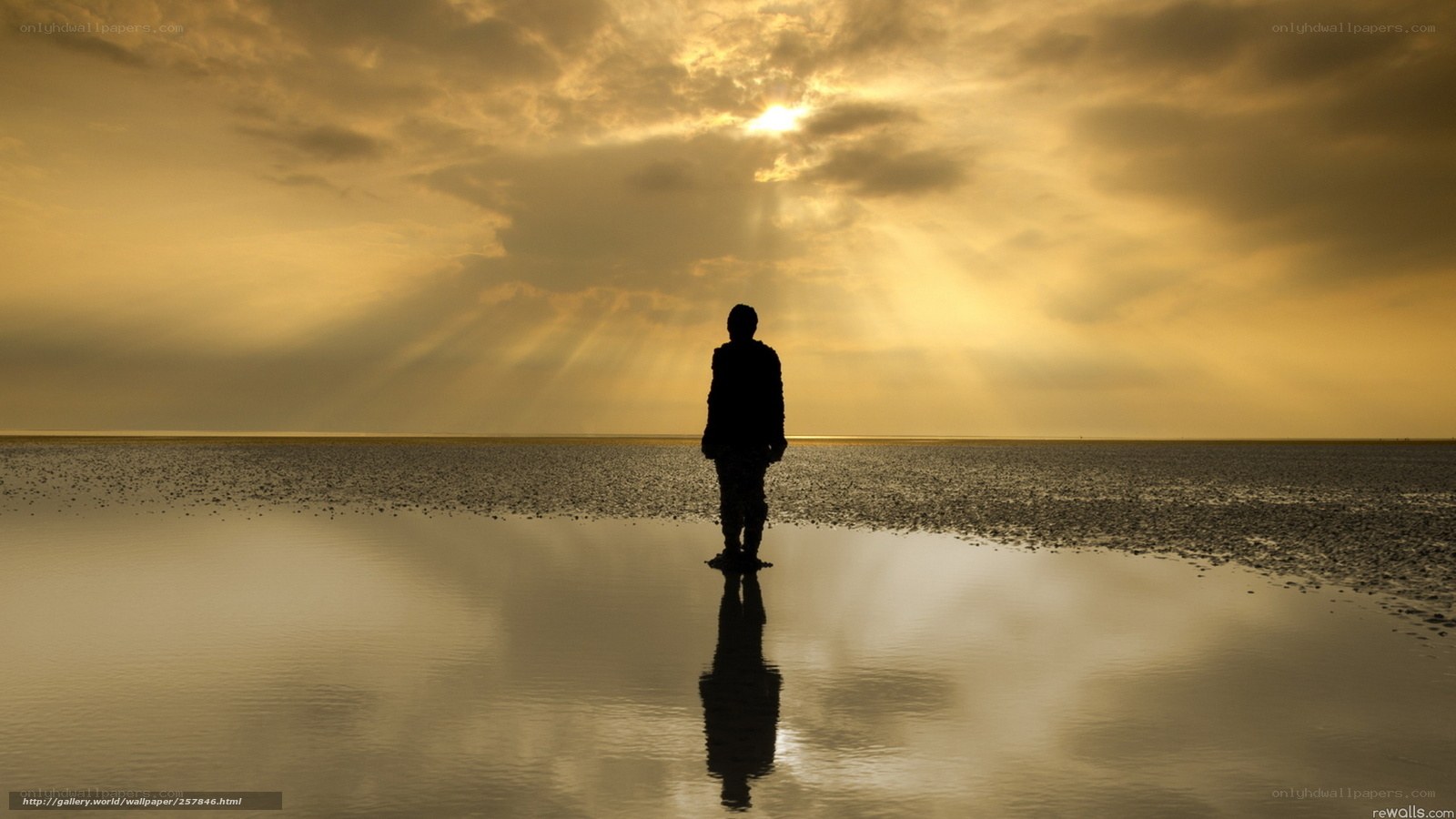 Silhouette on a reflective beach