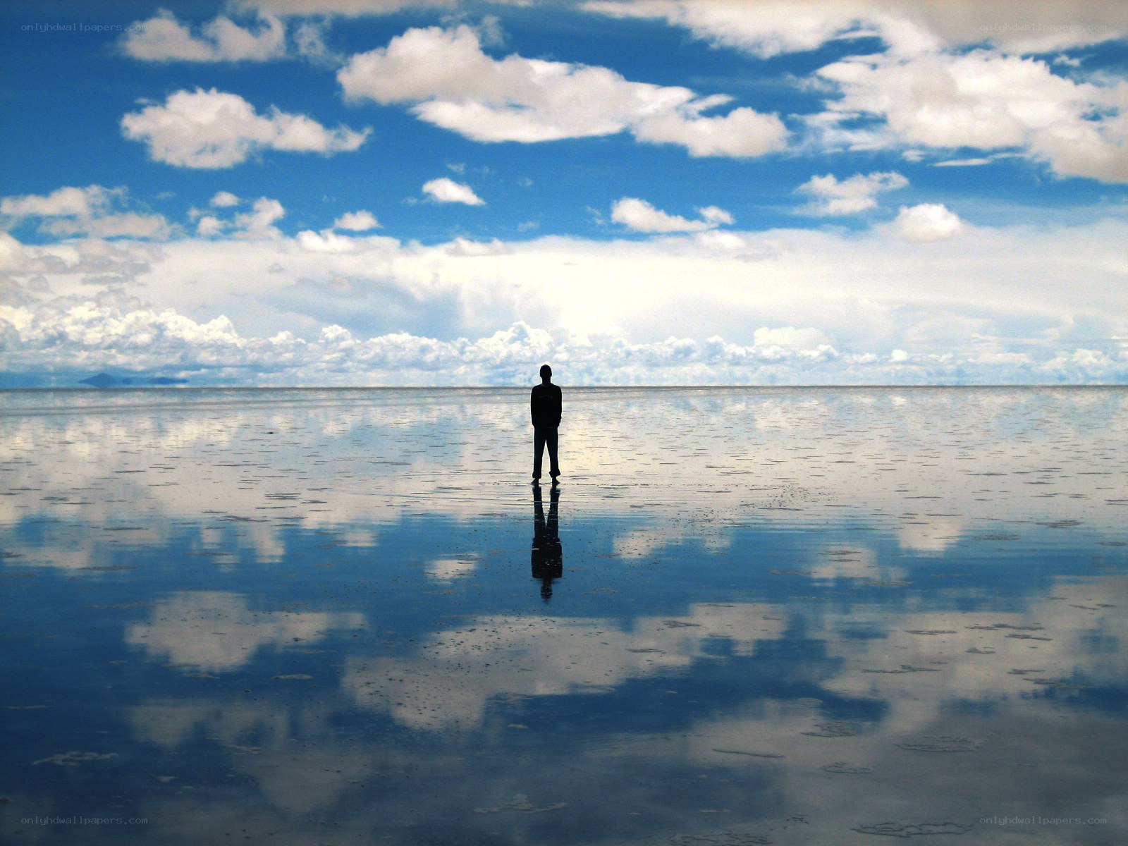 Silhouette on a reflective plain