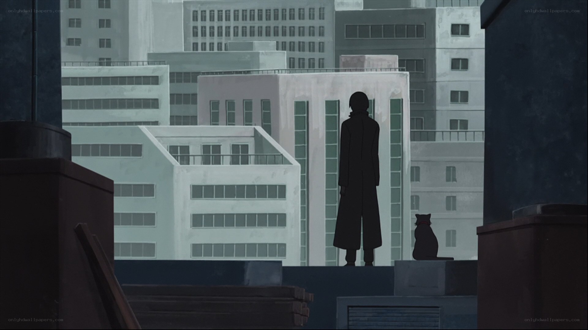silhouette on a rooftop
