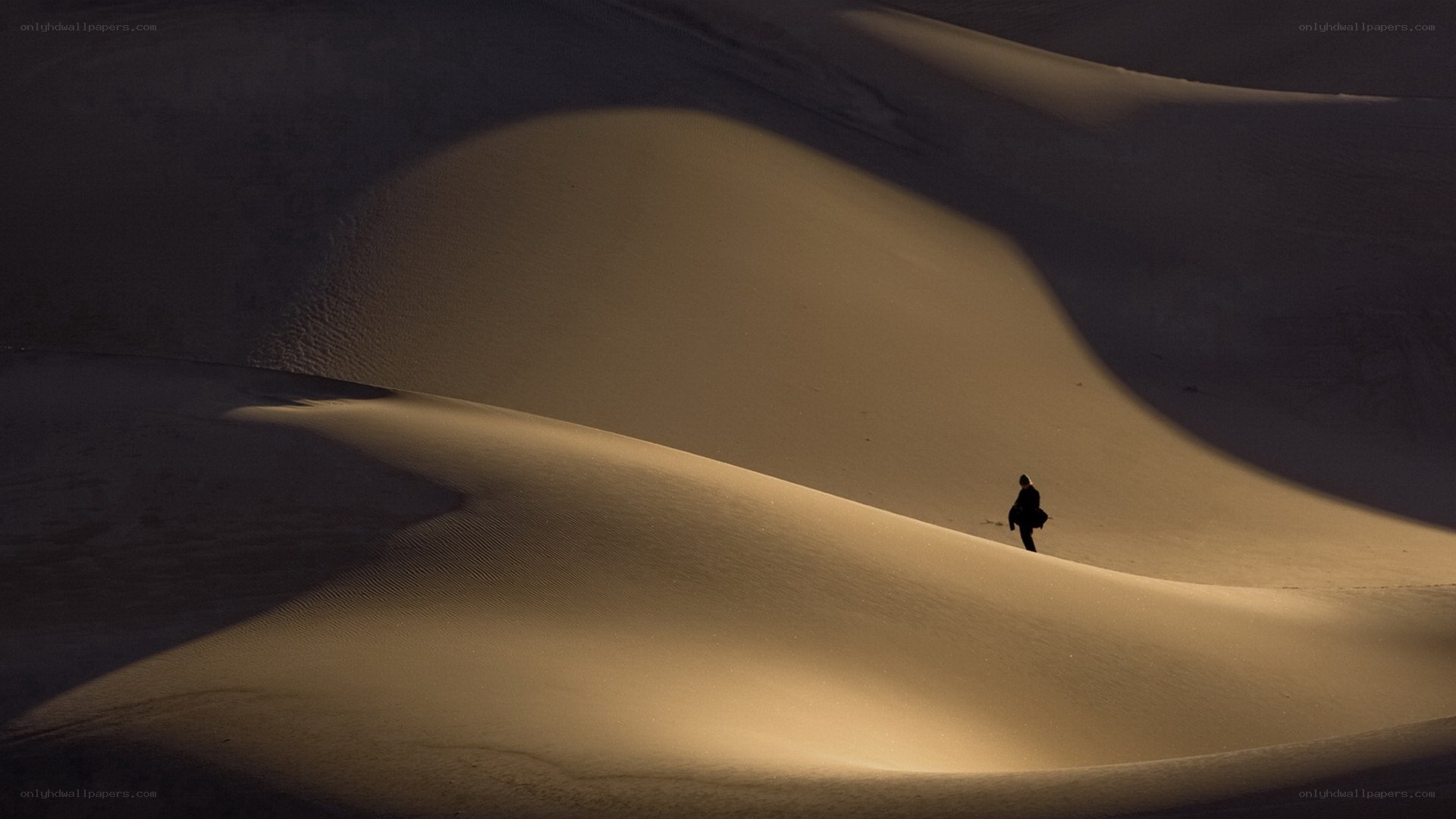 Silhouette on a sand dune