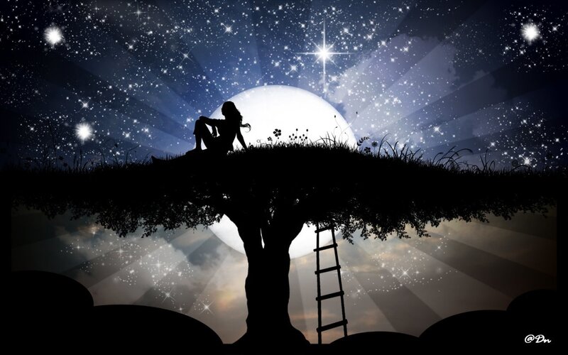 Silhouette on a starry night