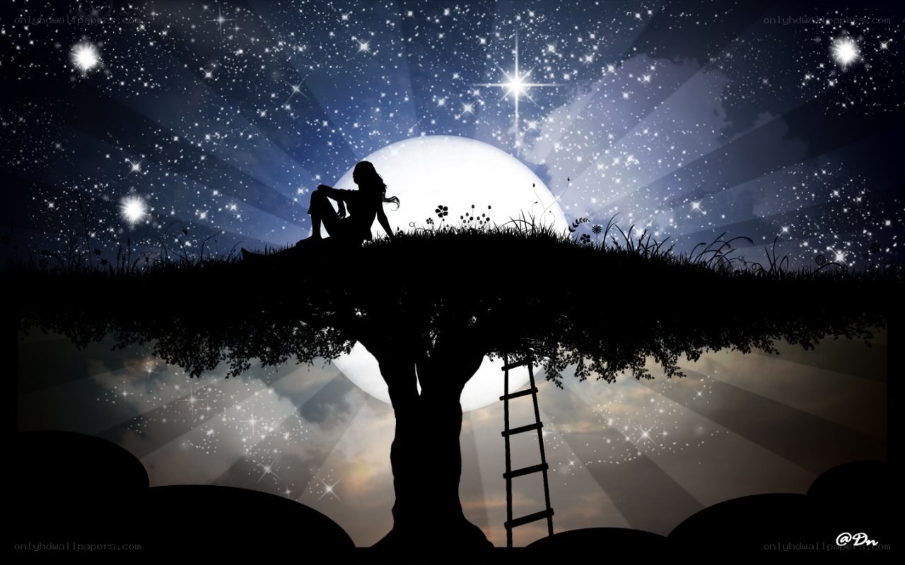 Silhouette on a starry night