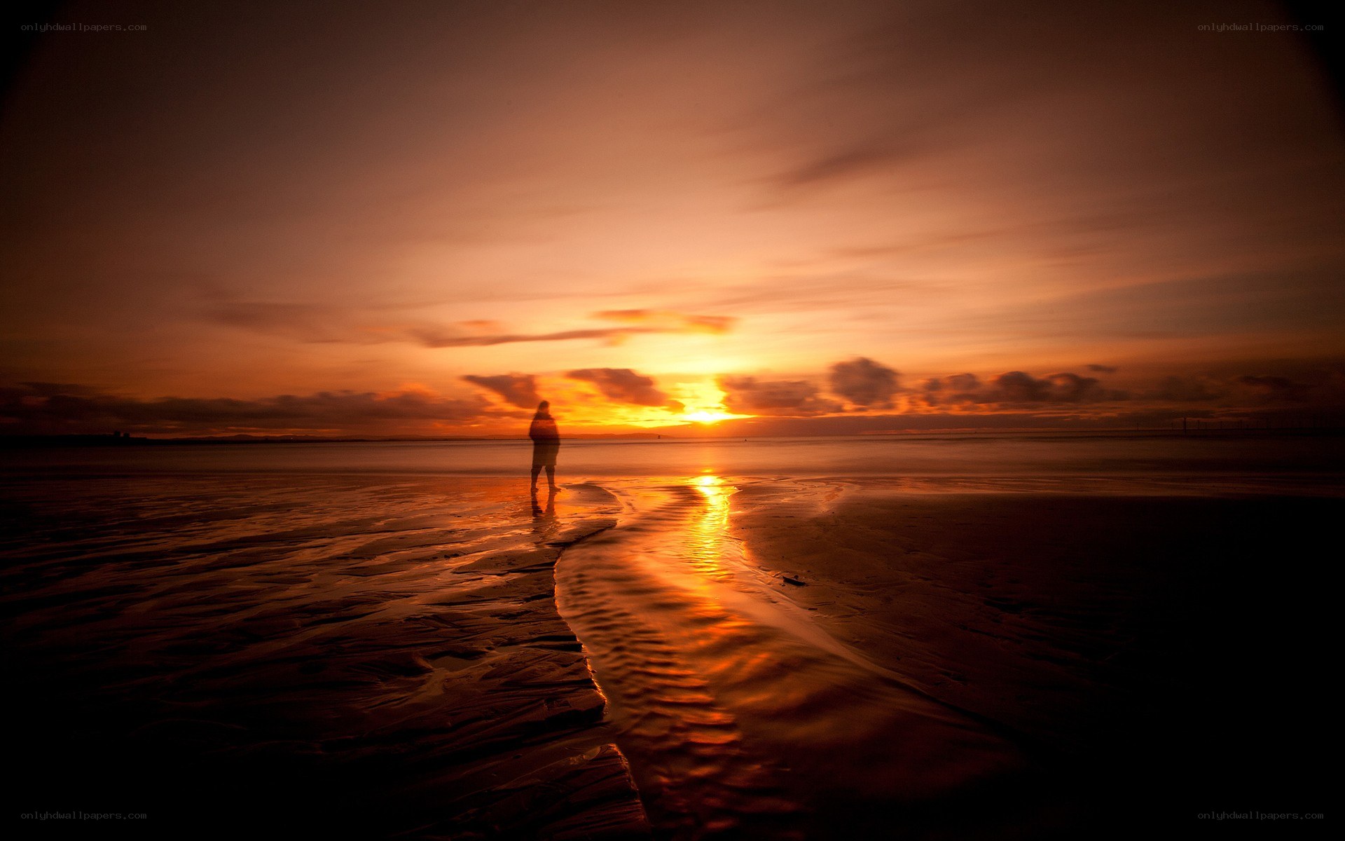Silhouette on a sunset beach