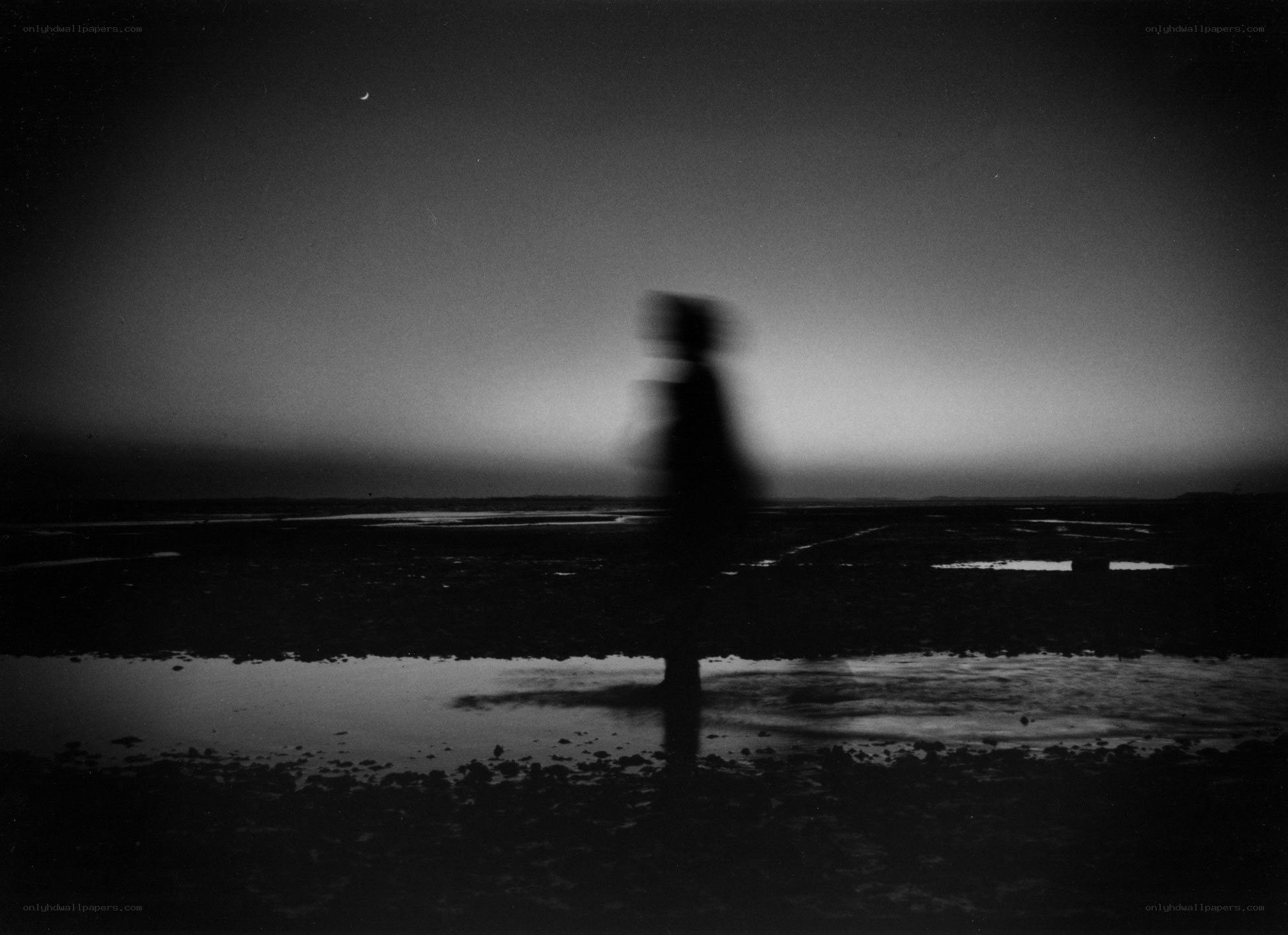 Silhouette on a wet beach