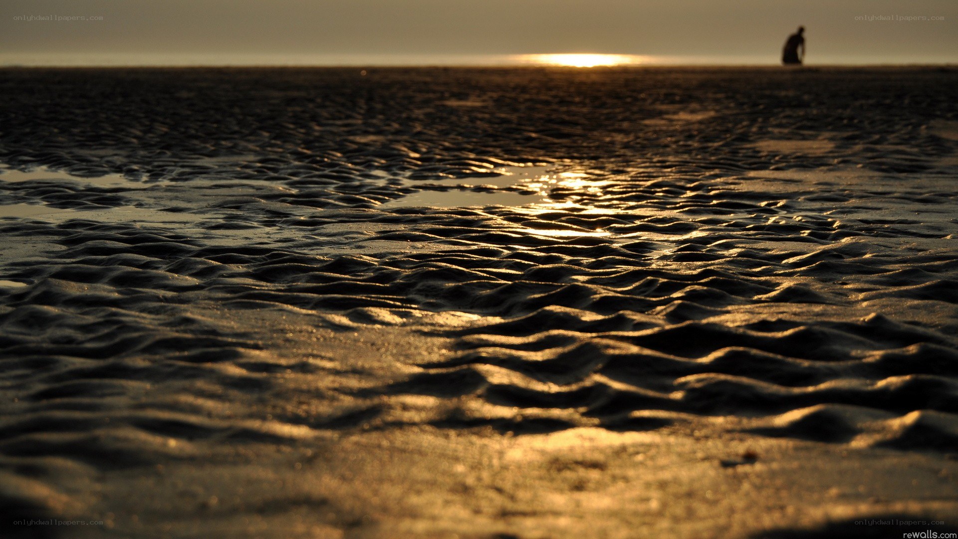 silhouette on beach at sunset