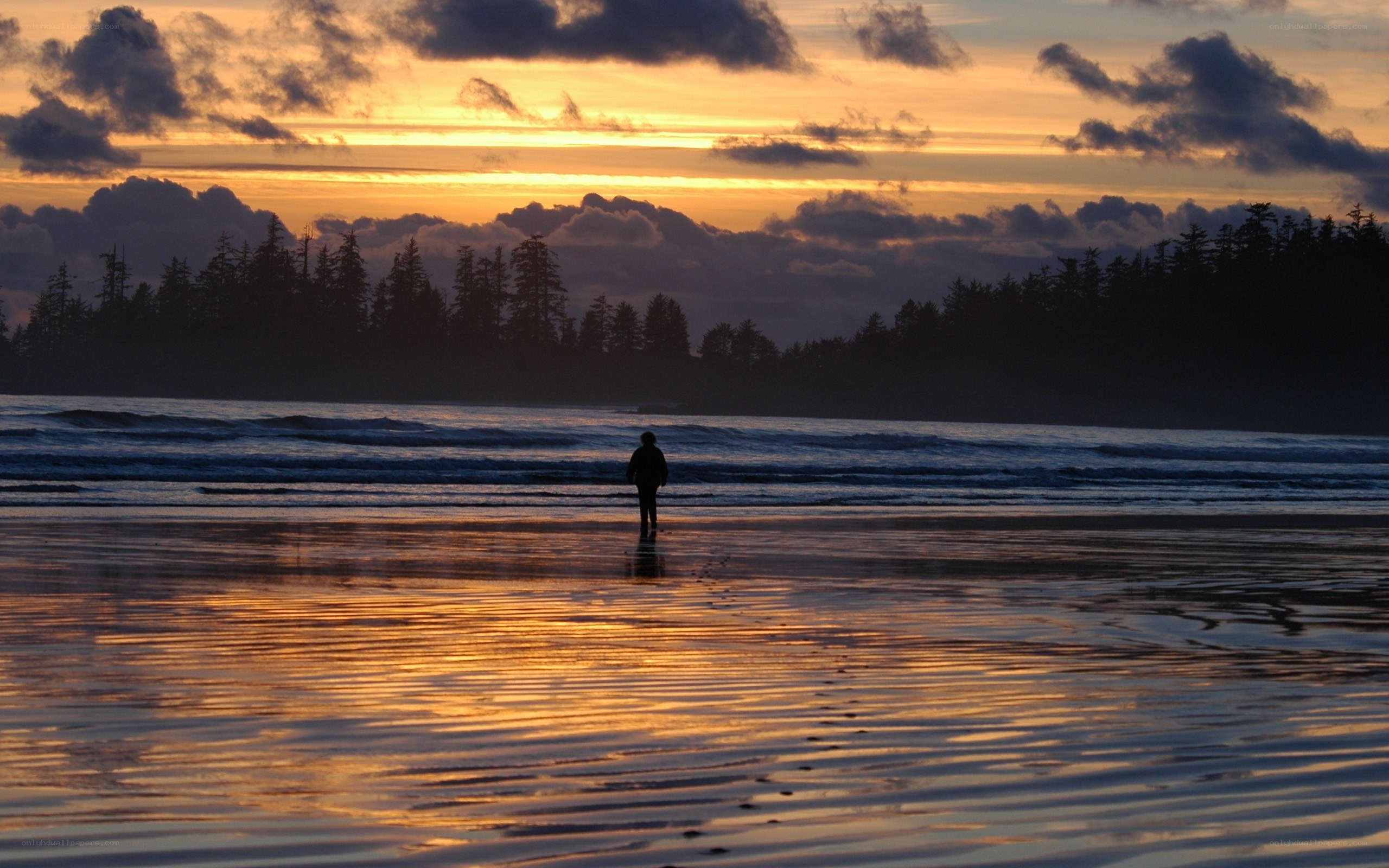 Silhouette on beach at sunset